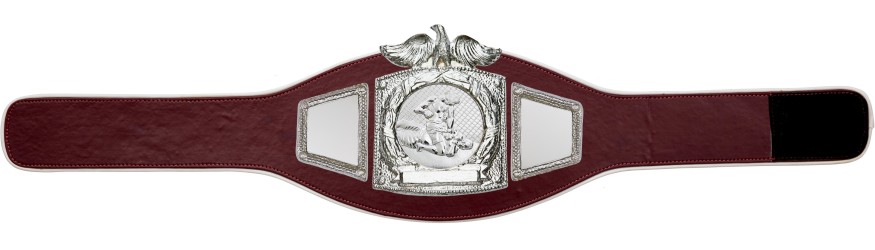 PROEAGLE MMA CHAMPIONSHIP BELT - PROEAGLE/S/MMAS - AVAILABLE IN 6+ COLOURS PROEAGLE MMA CHAMPIONSHIP BELT - PROEAGLE/S/MMAS - AVAILABLE IN 6+ COLOURS